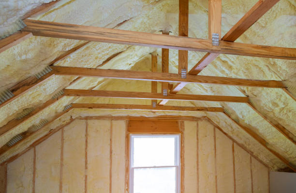 Best Insulation Contractor Near Me  in Madelia, MN