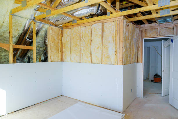 Best Energy-efficient Insulation  in Madelia, MN