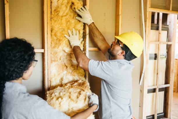 Best Professional Insulation Contractor  in Madelia, MN