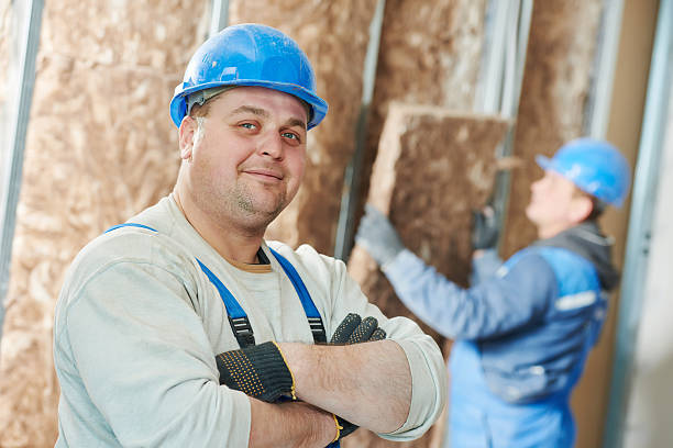 Best Soundproof Insulation Installation  in Madelia, MN