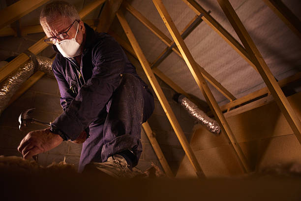Insulation Replacement Services in Madelia, MN